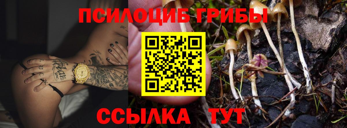 Благовещенск  Галлюциногенные грибы GOLDEN TEACHER  Галлюциногенные грибы MAGIC MUSHROOMS  Вход с VPN 